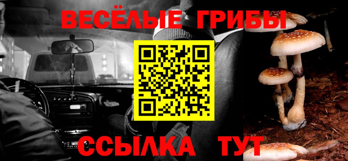 Галлюциногенные грибы мицелий  Псилоцибиновые грибы прущие грибы  Вход с VPN  Саки 